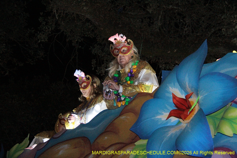 Krewe-of-Pygmalion-2026-4138