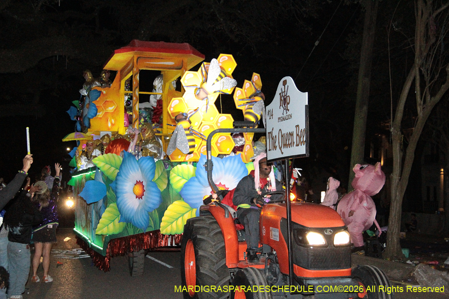 Krewe-of-Pygmalion-2026-4156
