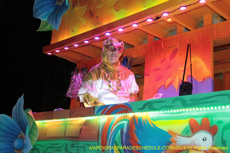 Krewe-of-Pygmalion-2026-4175