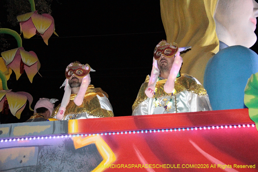 Krewe-of-Pygmalion-2026-4181
