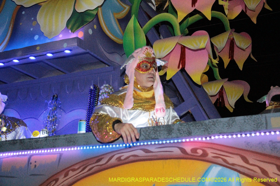 Krewe-of-Pygmalion-2026-4182