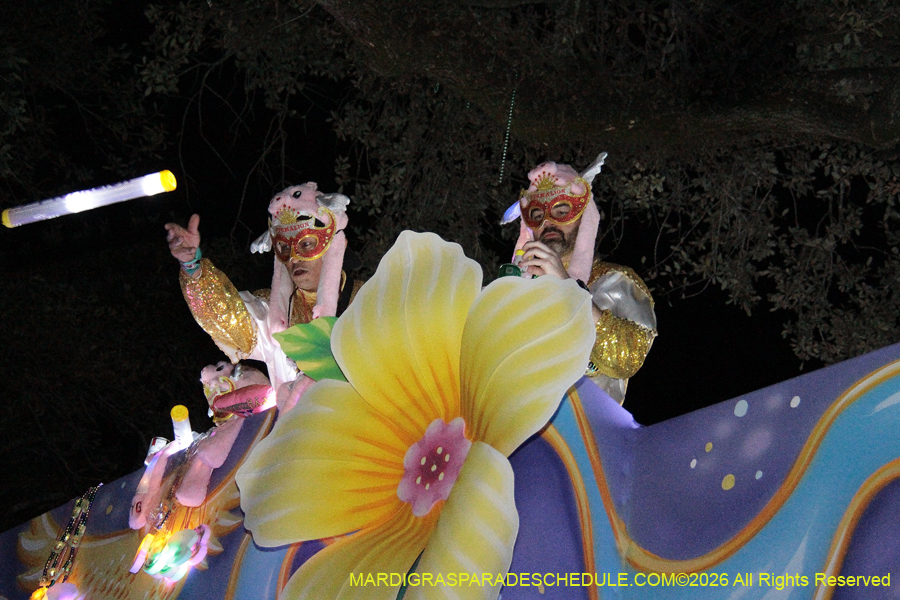 Krewe-of-Pygmalion-2026-4184