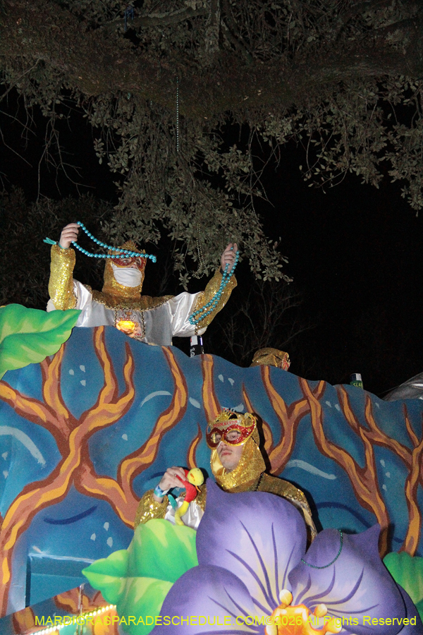 Krewe-of-Pygmalion-2026-4206