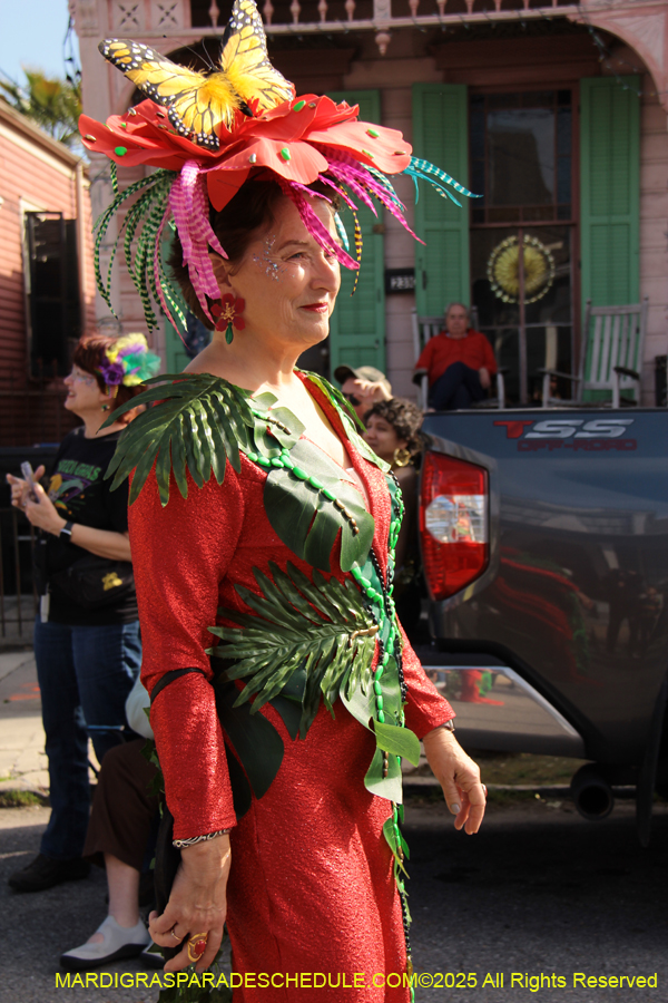 Krewe-of-Red-Beans-2025-2310