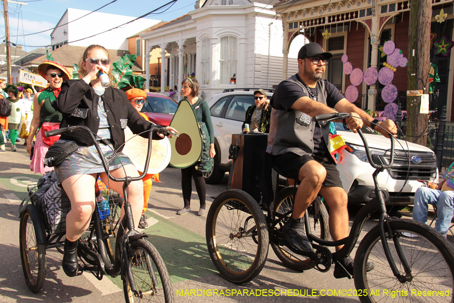 Krewe-of-Red-Beans-2025-2440