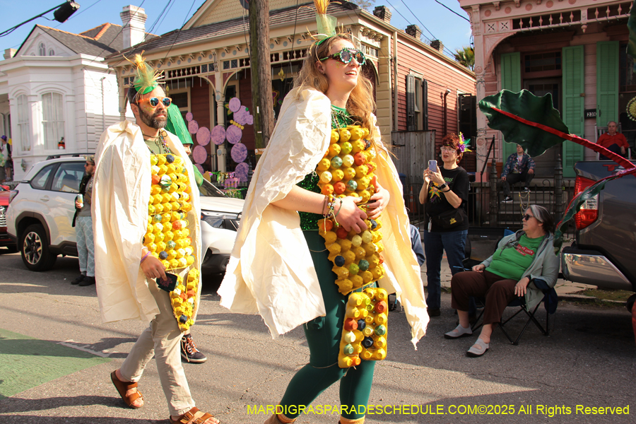 Krewe-of-Red-Beans-2025-2442