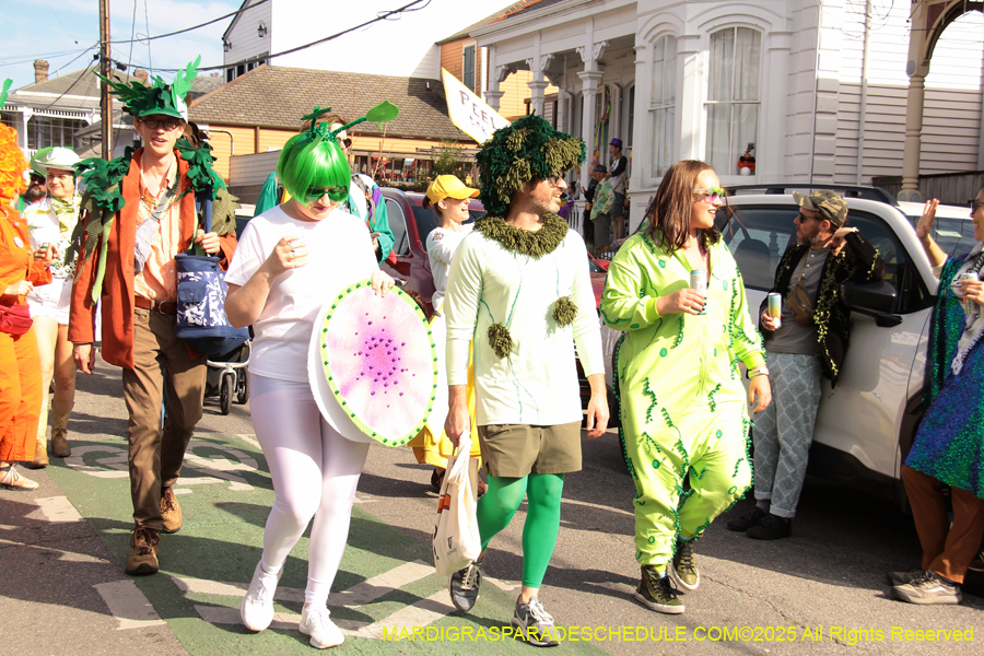 Krewe-of-Red-Beans-2025-2443