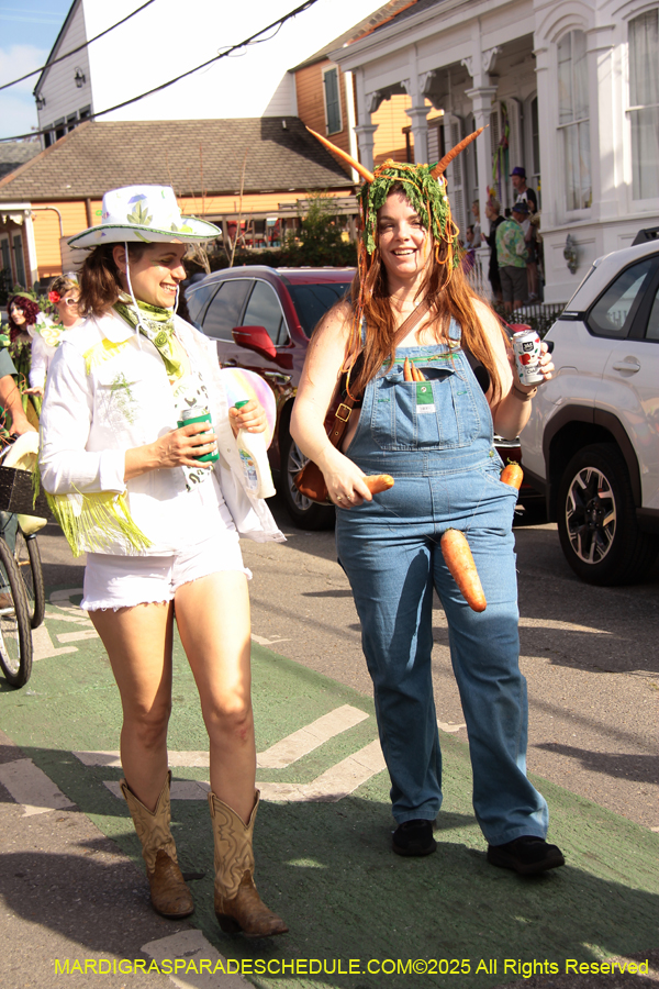 Krewe-of-Red-Beans-2025-2444