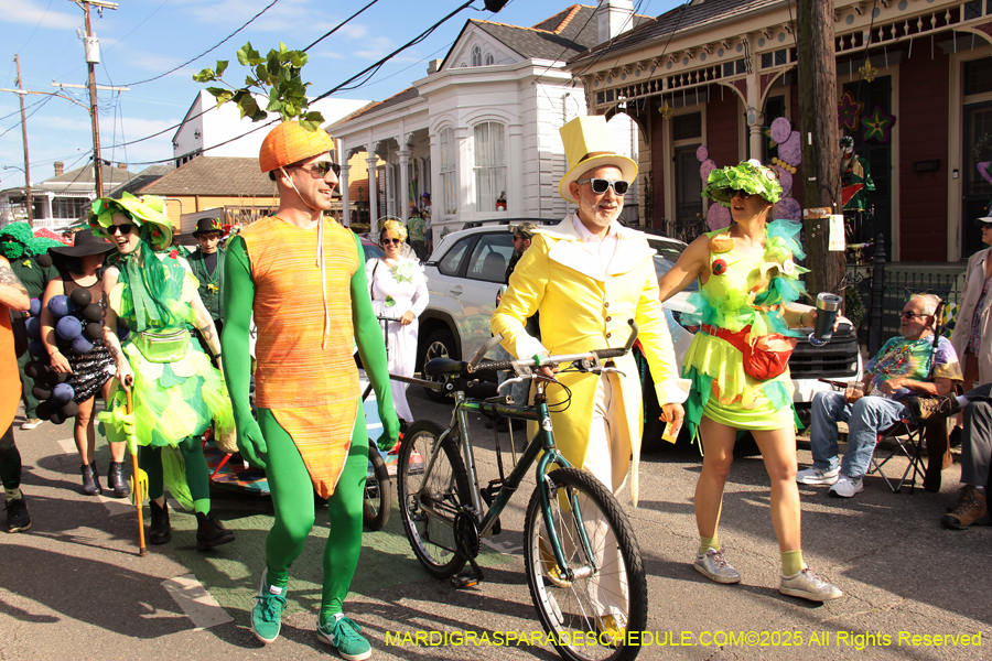 Krewe-of-Red-Beans-2025-2446