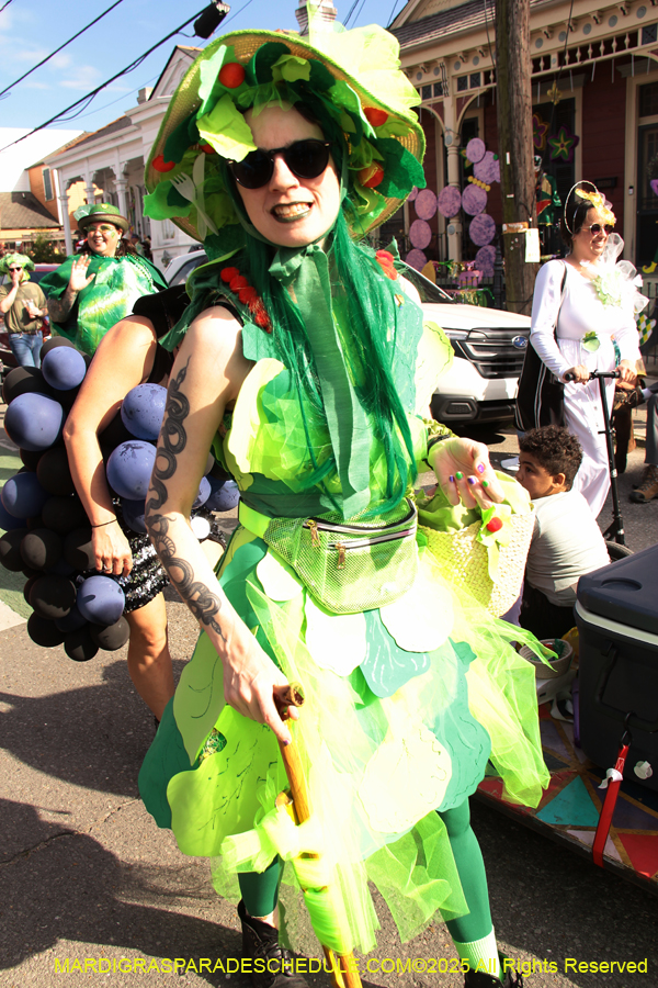 Krewe-of-Red-Beans-2025-2447