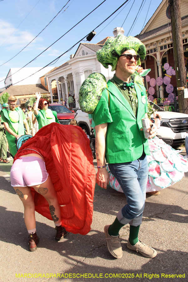 Krewe-of-Red-Beans-2025-2451