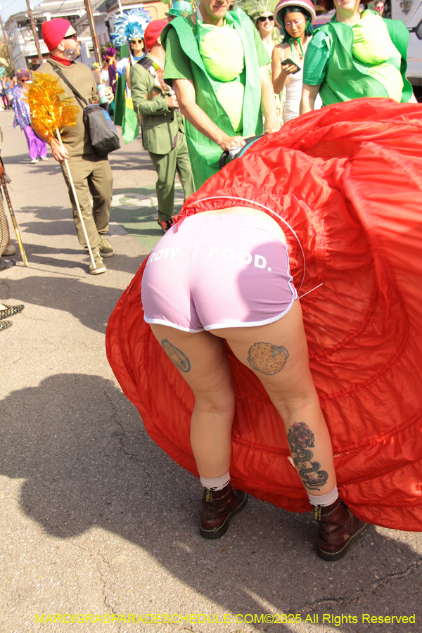 Krewe-of-Red-Beans-2025-2452