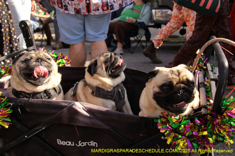 Krewe-of-Red-Beans-2025-2505