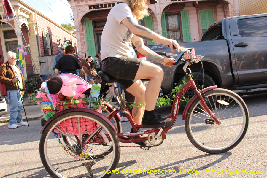 Krewe-of-Red-Beans-2025-2537