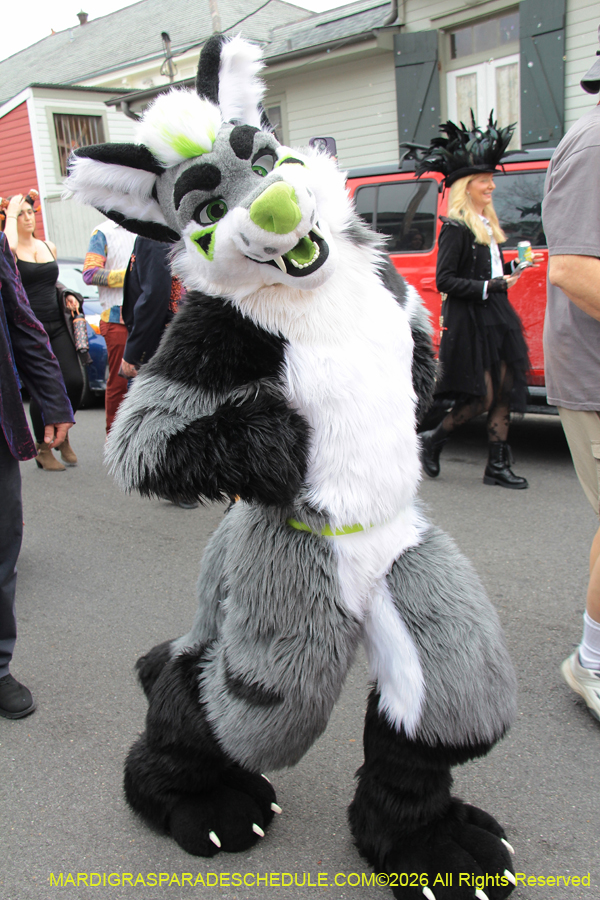 Krewe-of-Red-Beans-2026-10245