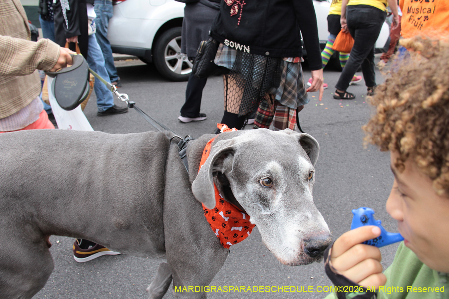 Krewe-of-Red-Beans-2026-10285