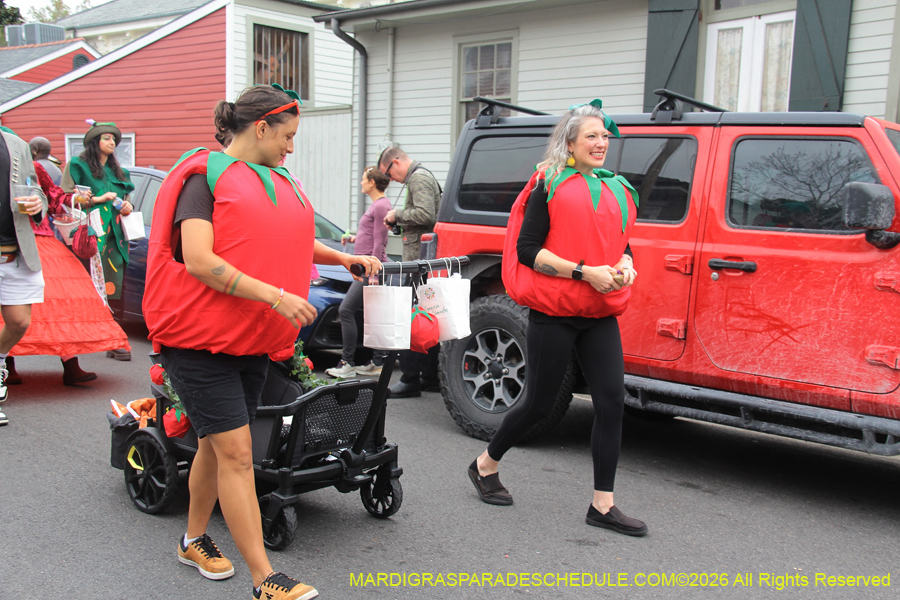 Krewe-of-Red-Beans-2026-10337