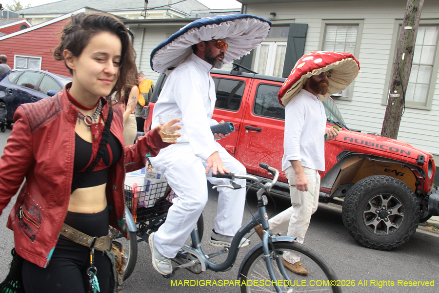 Krewe-of-Red-Beans-2026-10344