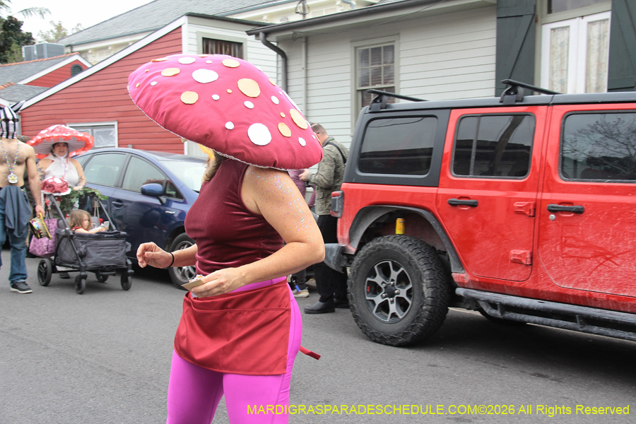 Krewe-of-Red-Beans-2026-10345