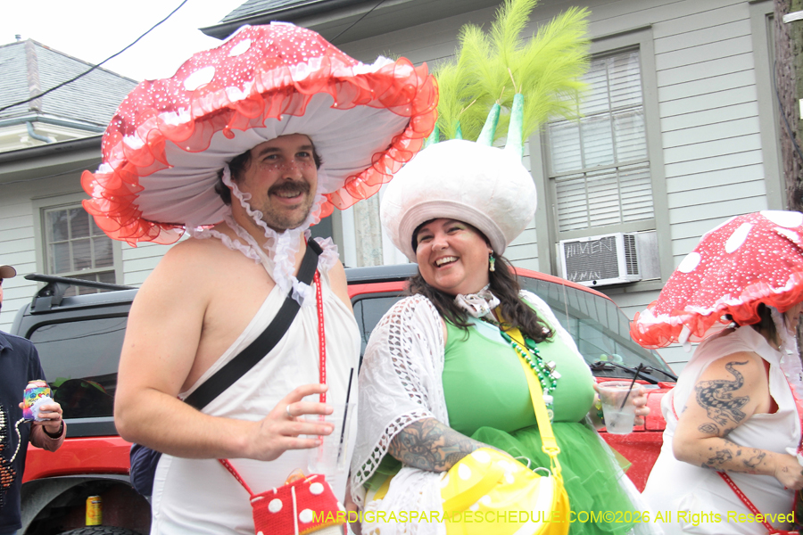 Krewe-of-Red-Beans-2026-10349