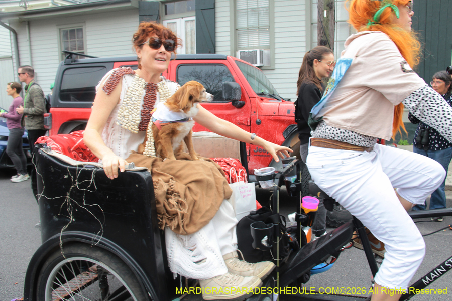 Krewe-of-Red-Beans-2026-10414