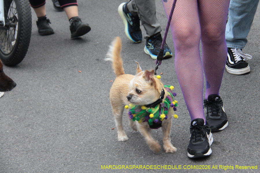 Krewe-of-Red-Beans-2026-10434