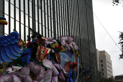 Krewe-of-Rex-King-of-Carnival-Rex-School-of-Design-2008-Mardi-Gras-New-Orleans-2008-0161