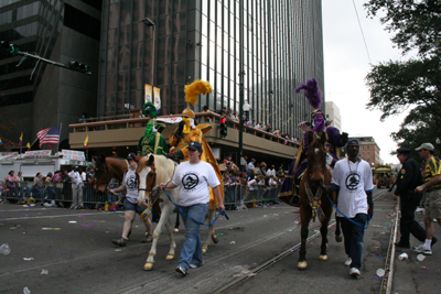 Krewe-of-Rex-King-of-Carnival-Rex-School-of-Design-2008-Mardi-Gras-New-Orleans-2008-0263