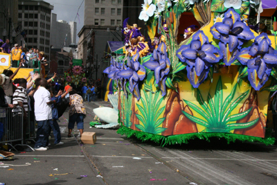 Krewe-of-Rex-King-of-Carnival-Rex-School-of-Design-2008-Mardi-Gras-New-Orleans-2008-0298