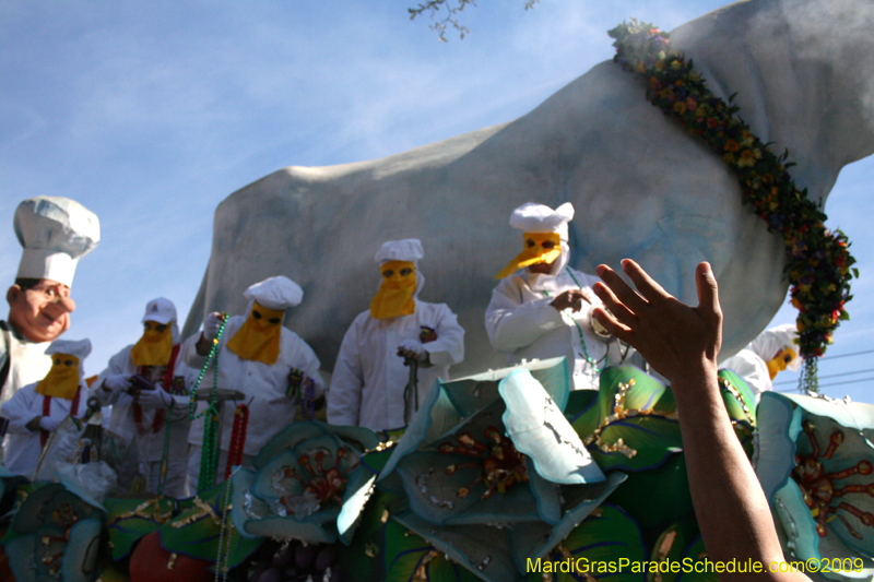 2009-Rex-King-of-Carnival-presents-Spirits-of-Spring-Krewe-of-Rex-New-Orleans-Mardi-Gras-1919