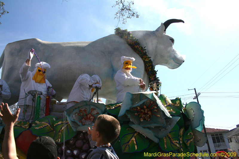 2009-Rex-King-of-Carnival-presents-Spirits-of-Spring-Krewe-of-Rex-New-Orleans-Mardi-Gras-1920