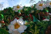 2009-Rex-King-of-Carnival-presents-Spirits-of-Spring-Krewe-of-Rex-New-Orleans-Mardi-Gras-2122
