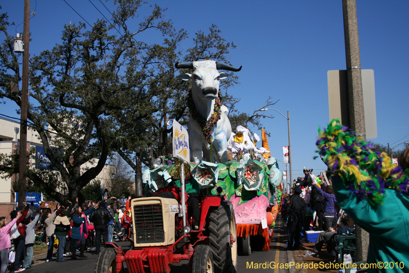 Rex-King-of-Carnival-New-Orleans-Mardi-Gras-0438
