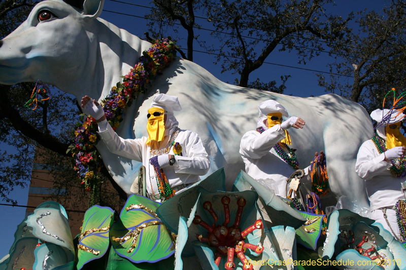 Rex-King-of-Carnival-New-Orleans-Mardi-Gras-0441