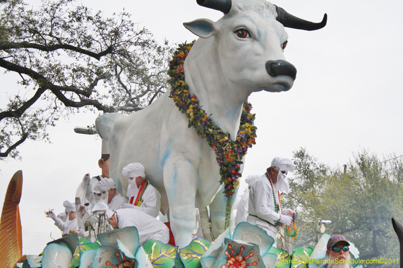 Rex-King-of-Carnival-2011-0072