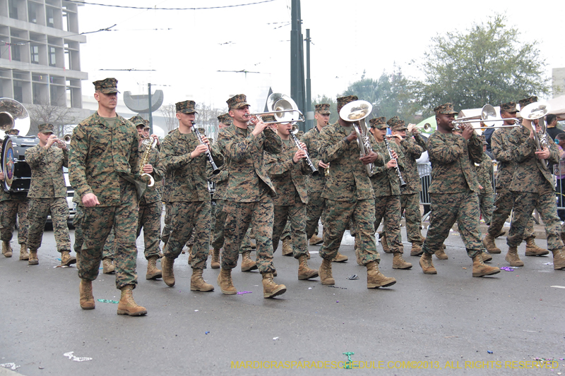 Rex-Organization-2013-1049