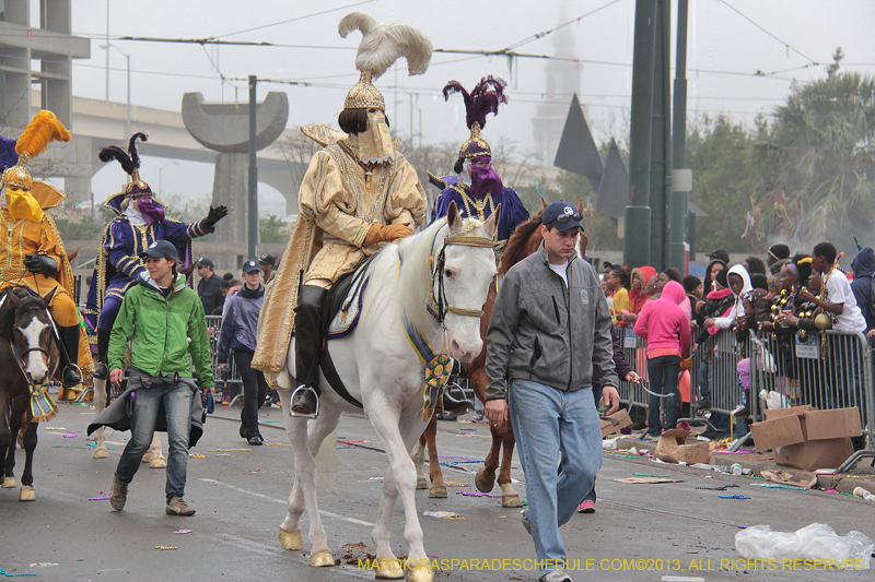 Rex-Organization-2013-1051