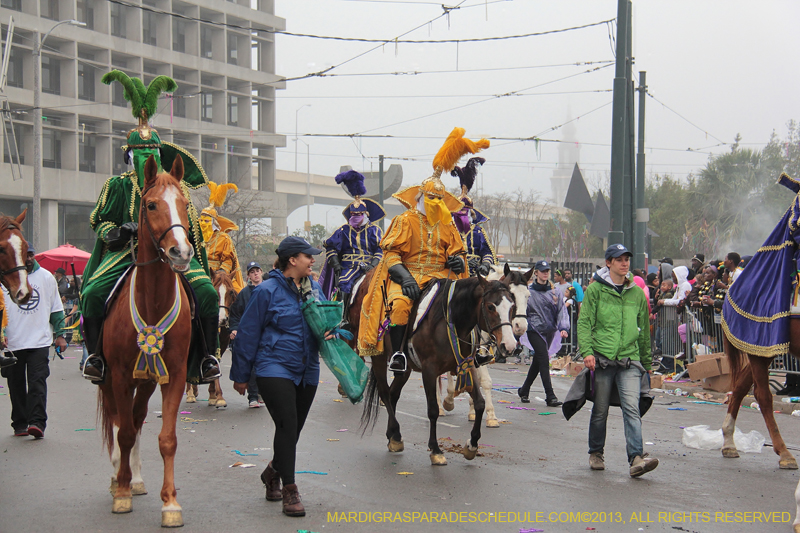 Rex-Organization-2013-1054