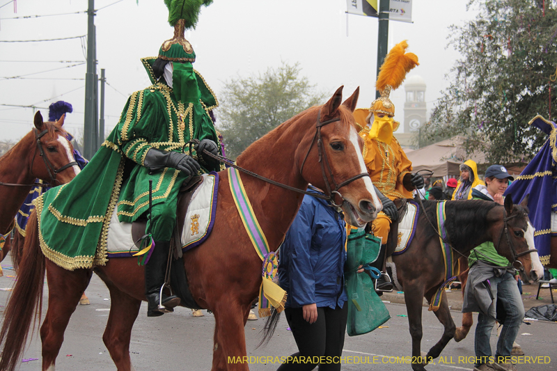 Rex-Organization-2013-1056