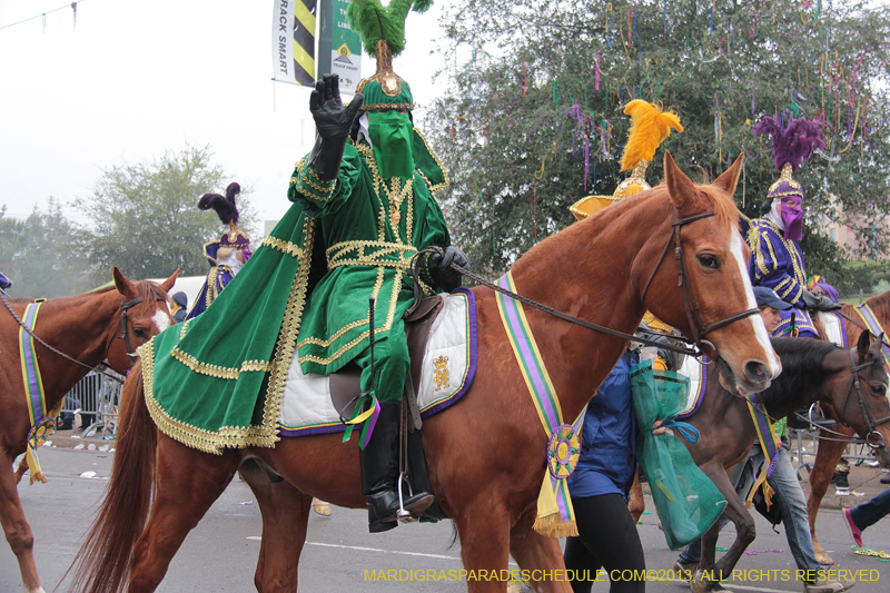 Rex-Organization-2013-1057