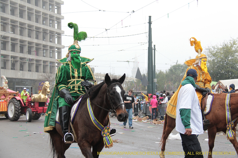 Rex-Organization-2013-1060