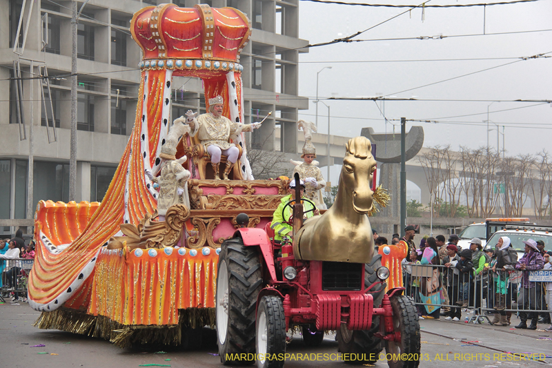 Rex-Organization-2013-1062