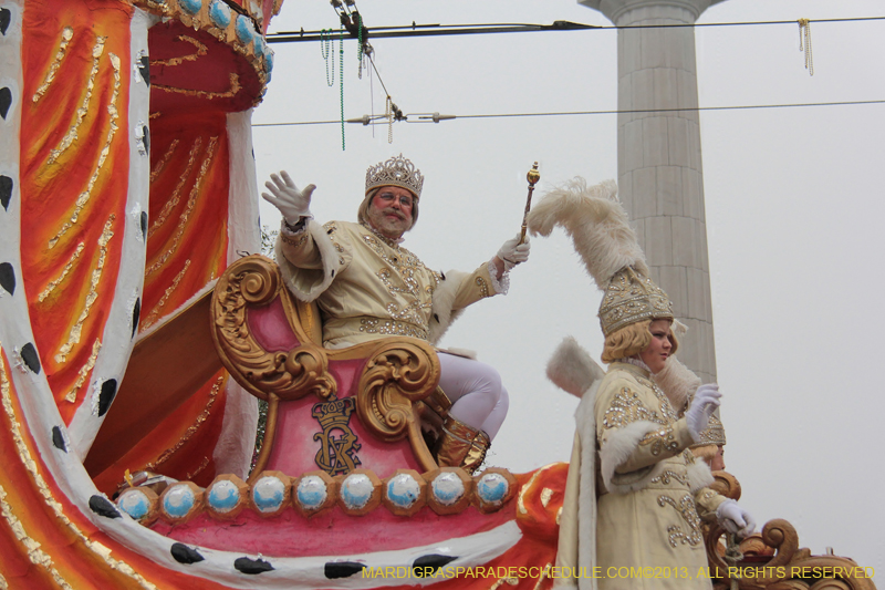 Rex-Organization-2013-1073