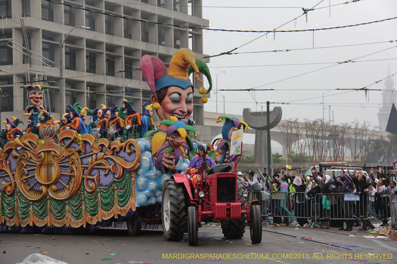 Rex-Organization-2013-1091