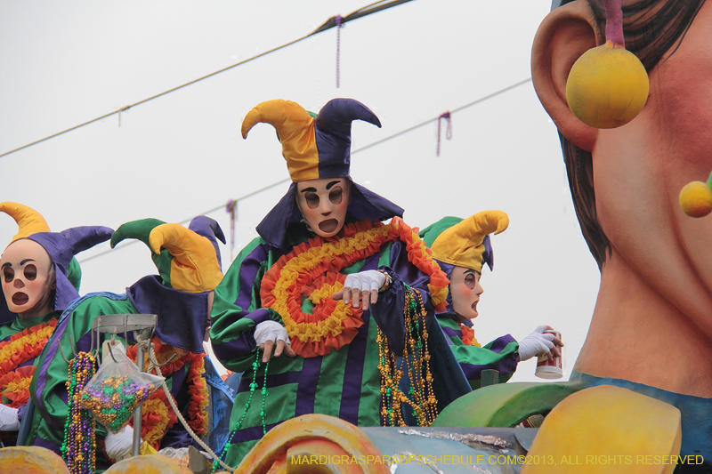 Rex-Organization-2013-1094