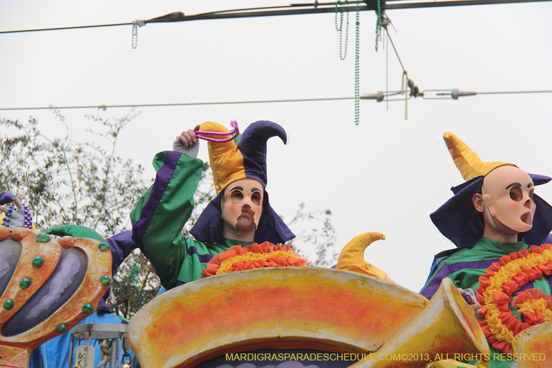 Rex-Organization-2013-1096