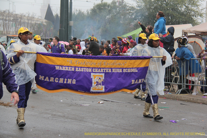 Rex-Organization-2013-1099