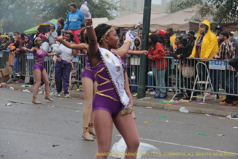 Rex-Organization-2013-1106