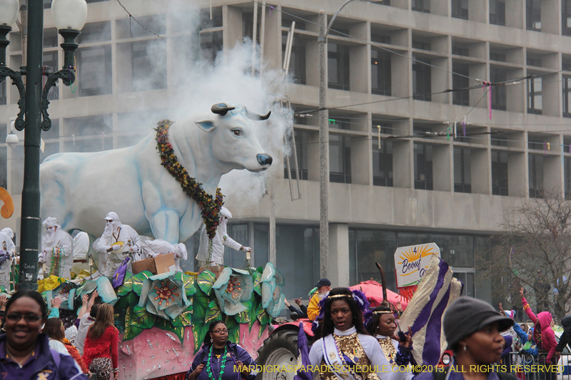 Rex-Organization-2013-1107