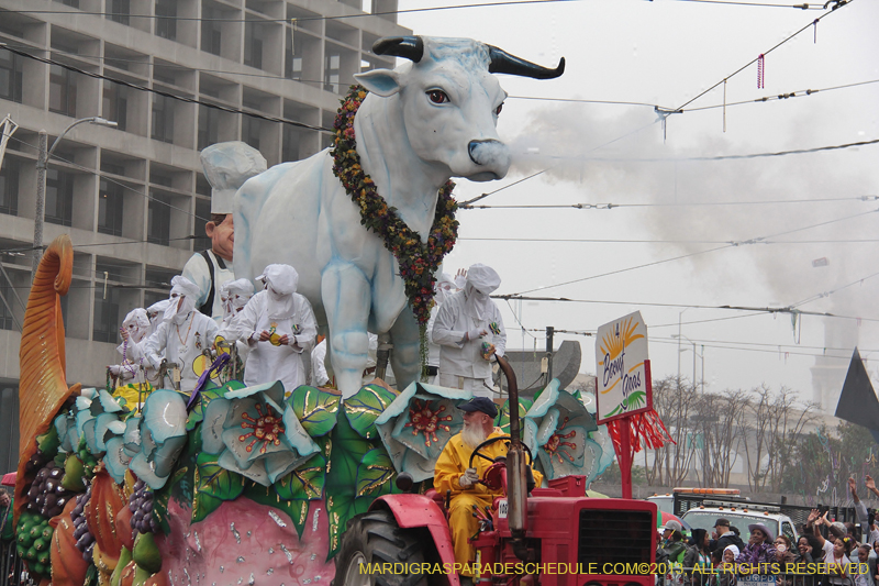 Rex-Organization-2013-1111